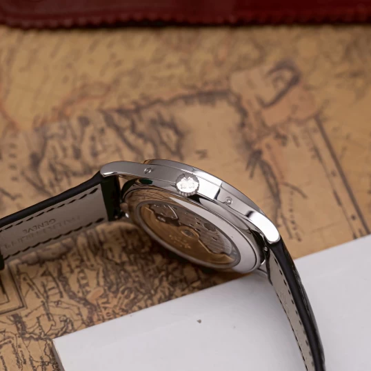 Patek Philippe Complications Annual Calendar Moonphase 5396G-011