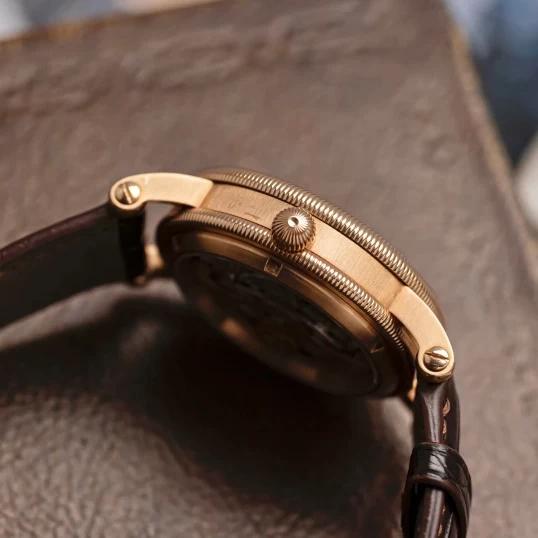 Chronoswiss Delphis Retrograde Jumping Hour CH1421R