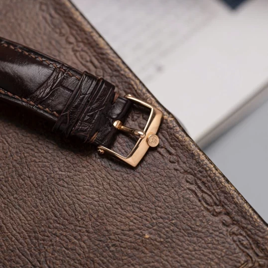 Chronoswiss Delphis Retrograde Jumping Hour CH1421R