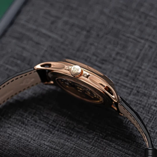 Patek Philippe Complications Annual Calendar 5205R-010 Black Dial